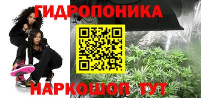 a pvp Ирбит